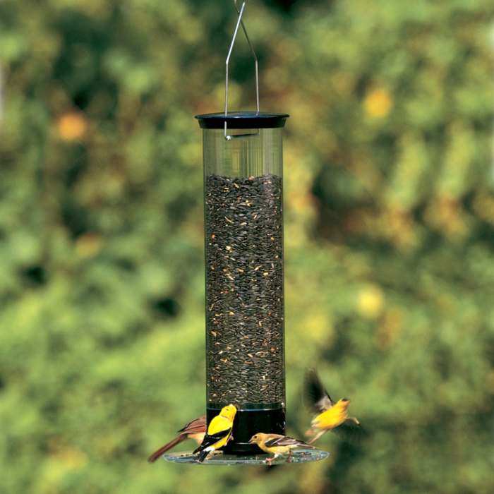 Droll Yankees Tipper Squirrel Proof Bird Feeder Squirrel Proof