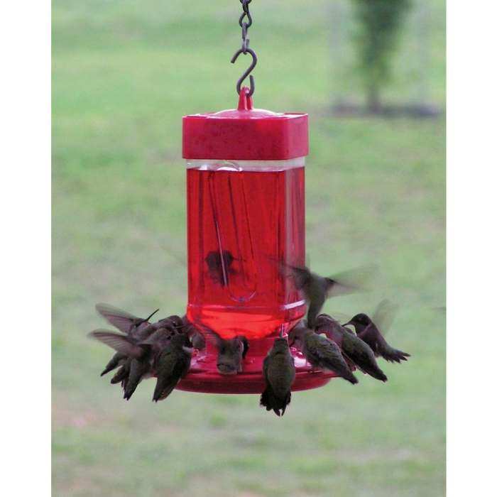 Hummingbird All Red Feeder 32 oz.