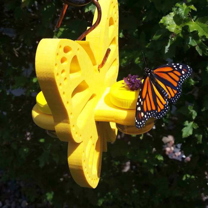 Butterfly Nectar Dots Feeder
