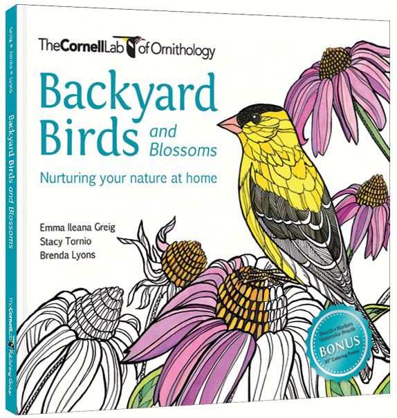 Backyard Birds & Blossoms Coloring Book