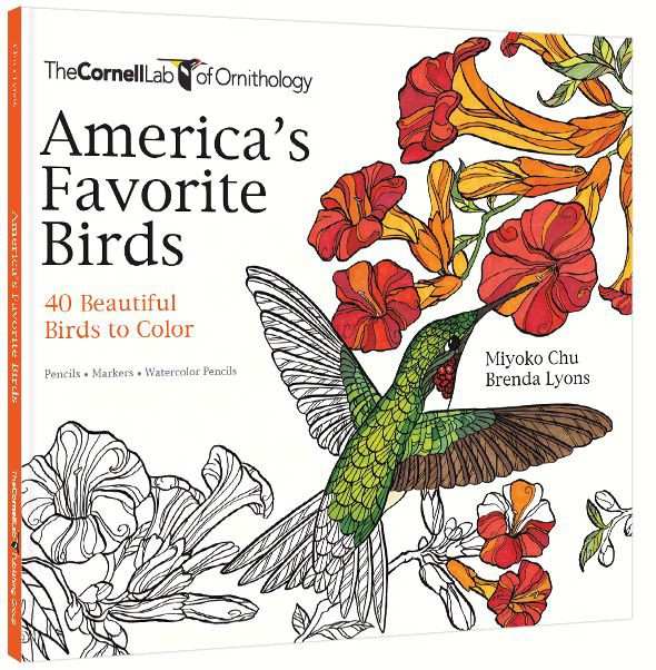 America's Favorite Birds Coloring Book