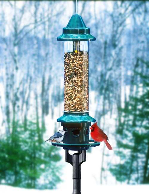 Brome Squirrel Buster Plus Squirrel Proof Bird Feeder with Weatherguard Baffle 