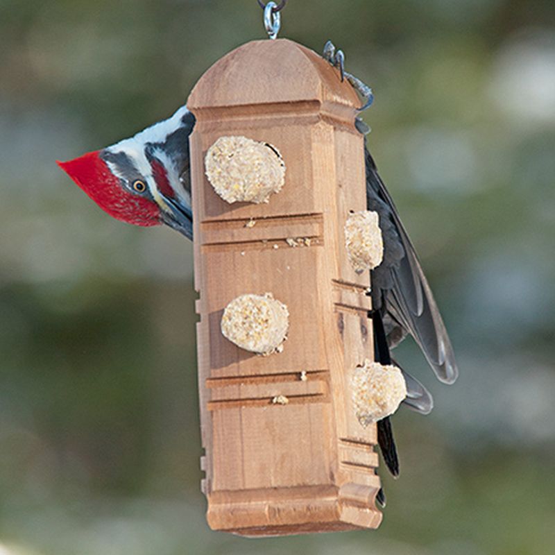 Cedar Suet Plug Feeder