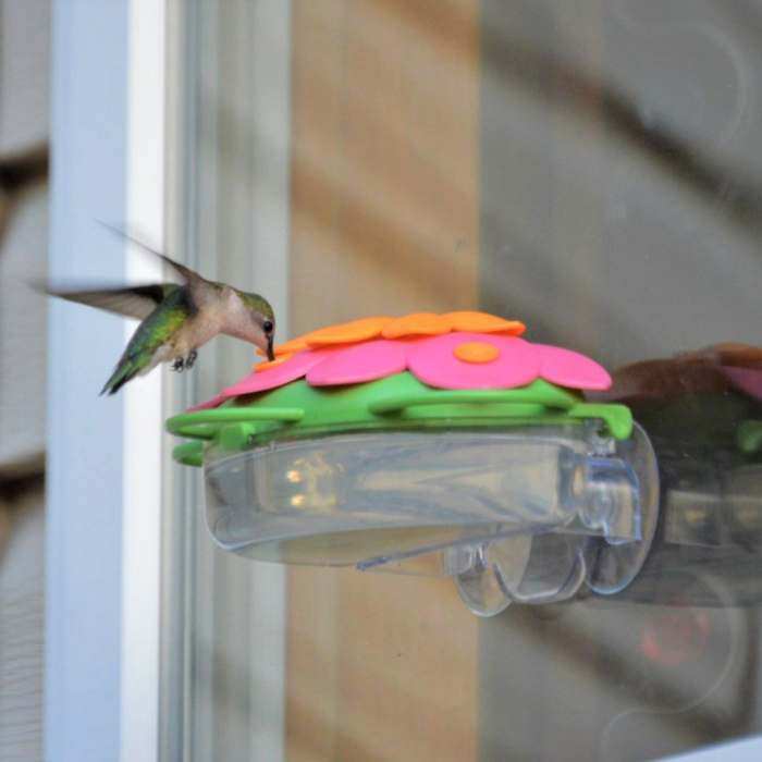 So Real Window Hummingbird Feeder Honeysuckle 2/PK
