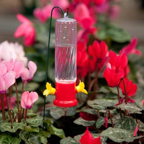 Audubon Garden Stake Hummingbird Feeder Set Of 6 Garden Stake