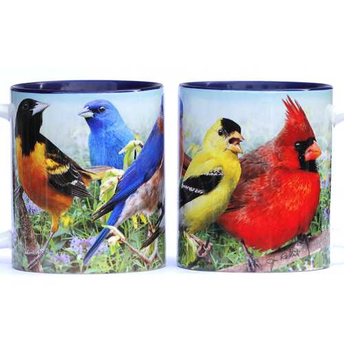 Summer Colorful Birds Coffee Mug Set of 2