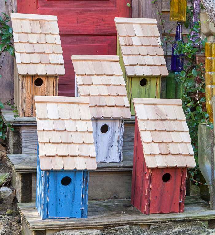 Bluebird Bunkhouse Bird House Collection Set of 5
