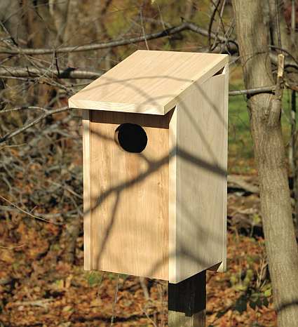 Cypress Joy Box For Wood Ducks