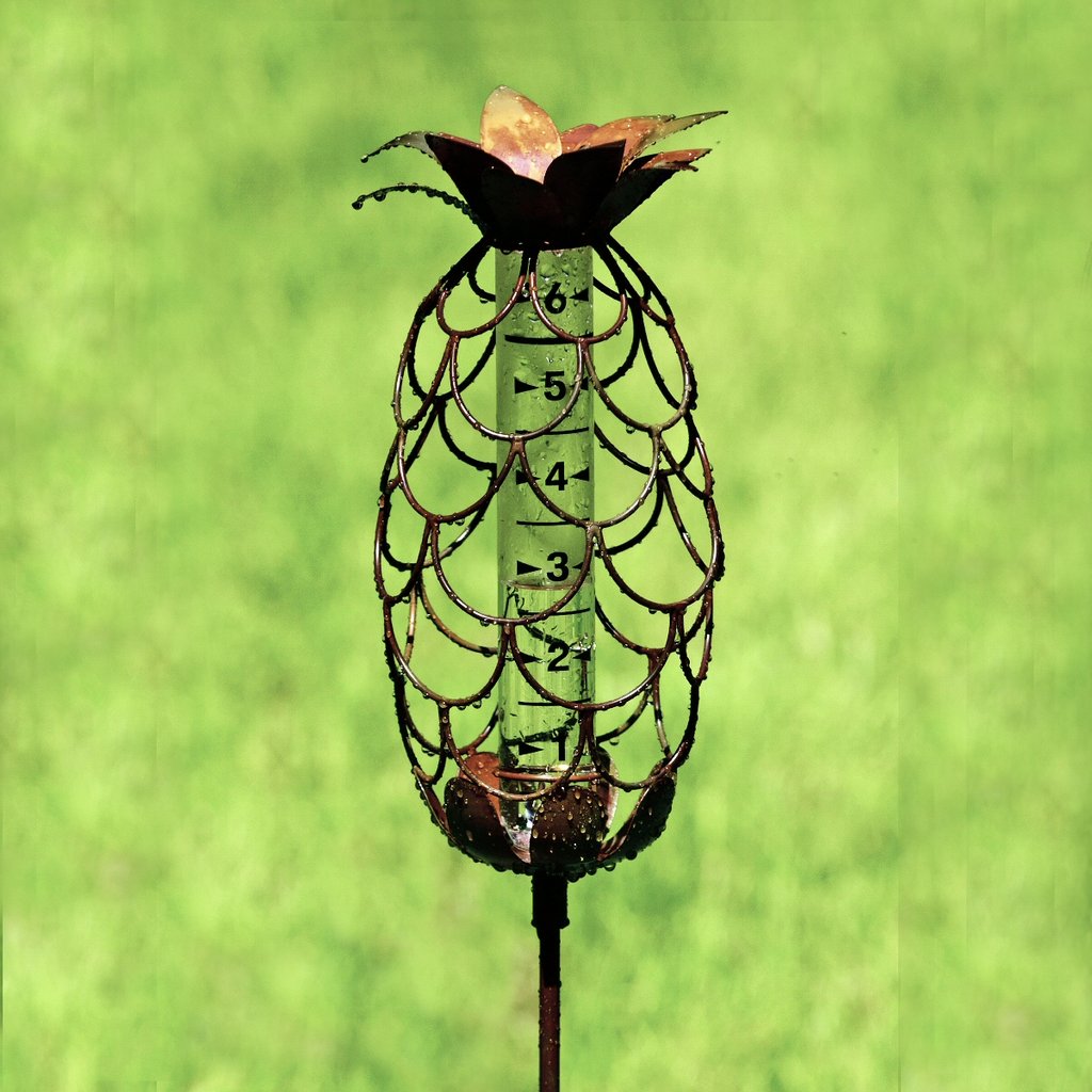 Flamed Copper Pineapple Rain Gauge Stake