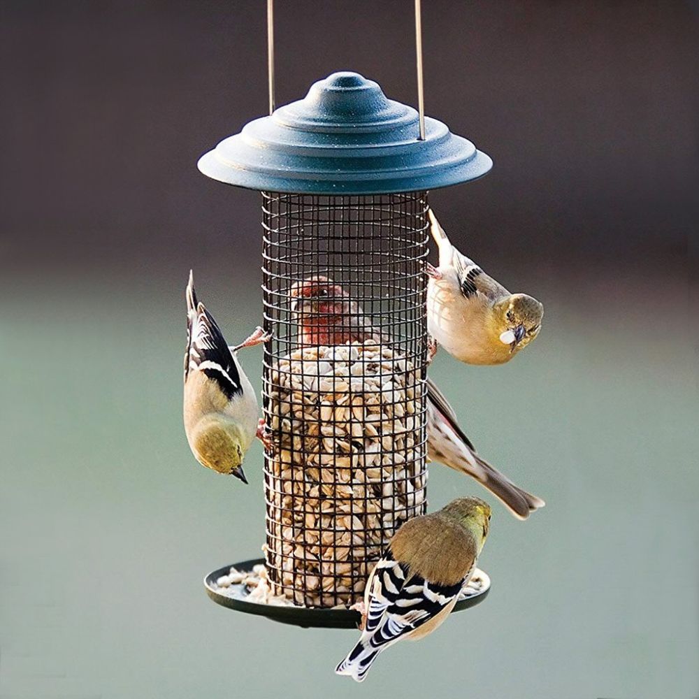 Audubon Mini Magnum Sunflower Feeder