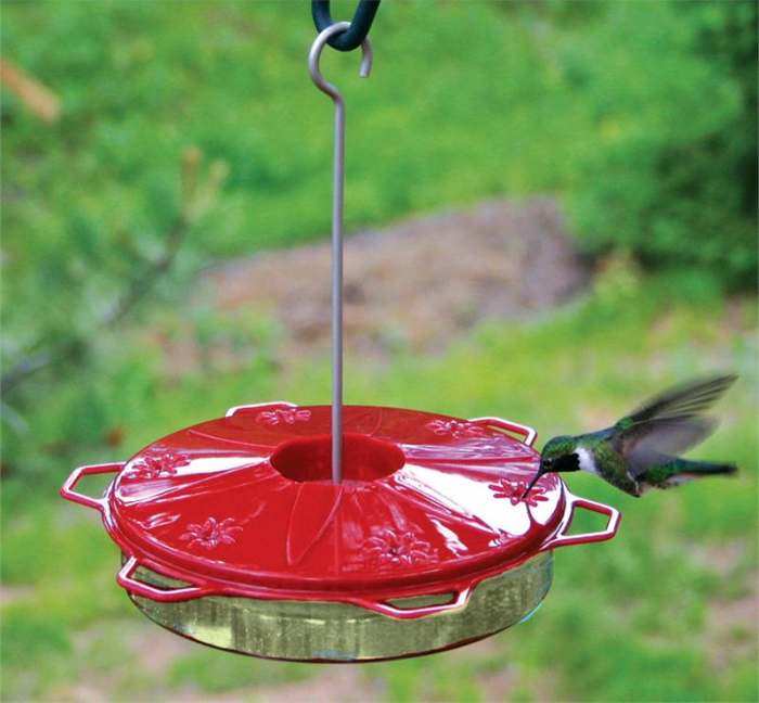 Woodlink Audubon Classic Saucer Dish Style Hummingbird Feeder