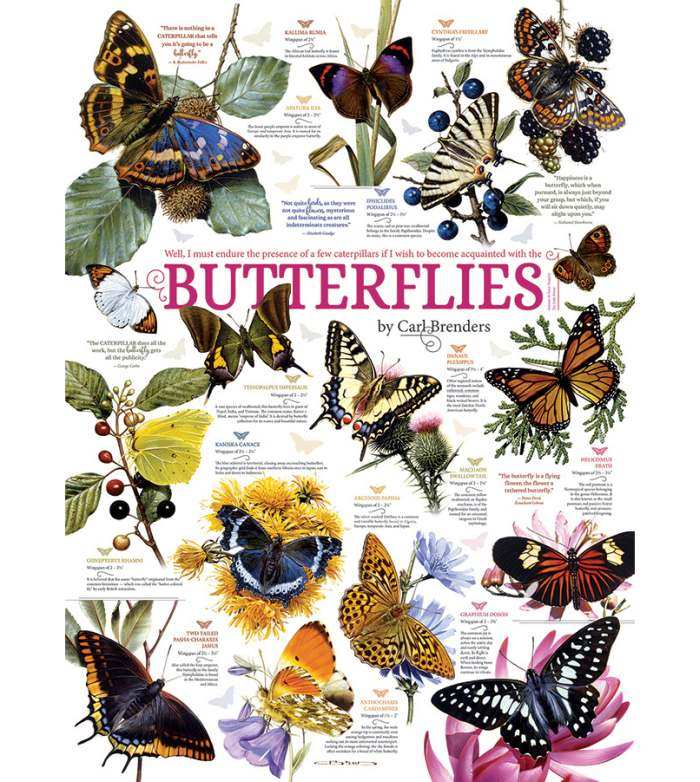 Butterfly Collection 1000 Piece Jigsaw Puzzle