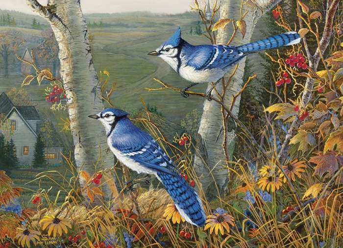 Blue Jays 1000 Piece Jigsaw Puzzle