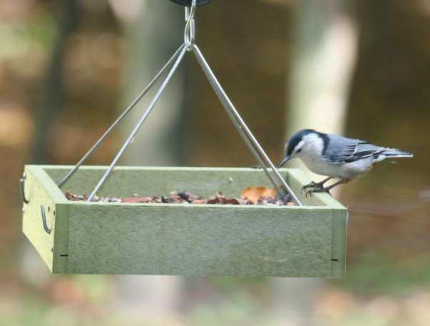 Green Solutions Large Hanging Tray Feeder Eco Friendly Recycled