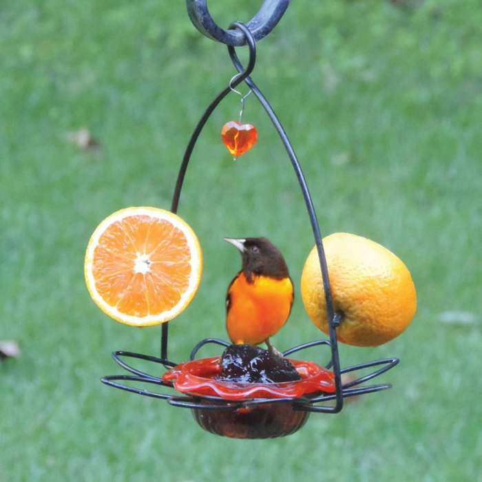 Oriole Flower Feeder Set of 2