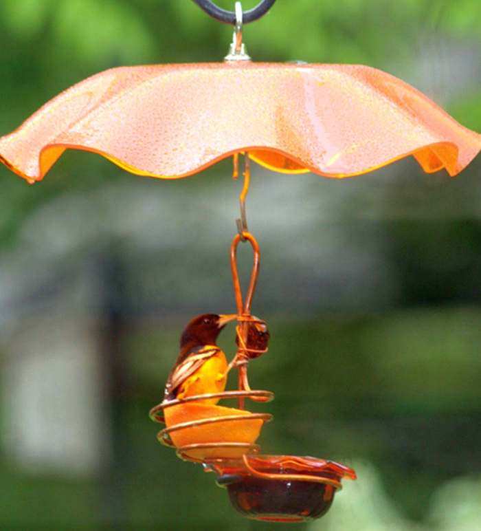 Copper Single Jelly Cup And Fruit Oriole Feeder W Orange Weather