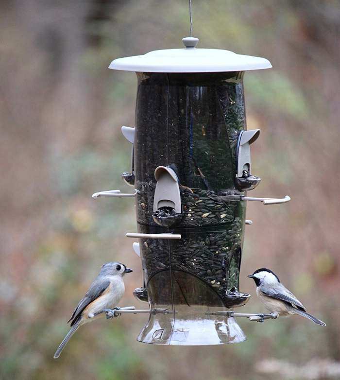 BIRD FEEDERS CLASSIC11 Squirrel-Proof X-1 Seed Feeder 
