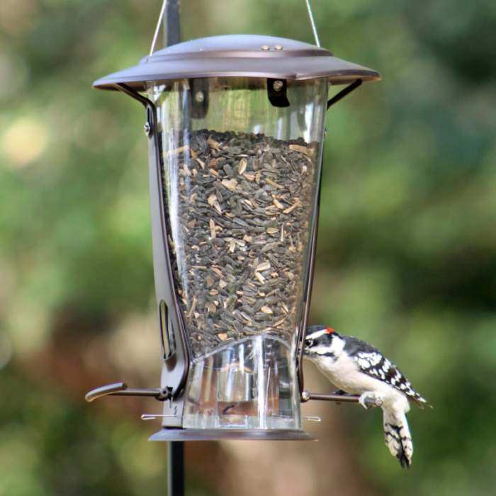 BIRD FEEDERS Squirrel-Proof X-1 Seed Feeder CLASSIC11 