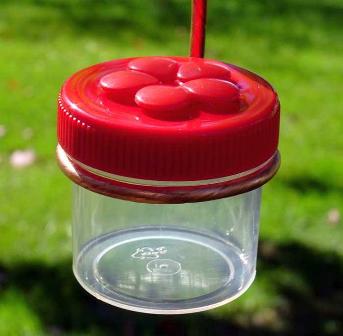 Single Hanging Dots Hummingbird Feeder Red/Red