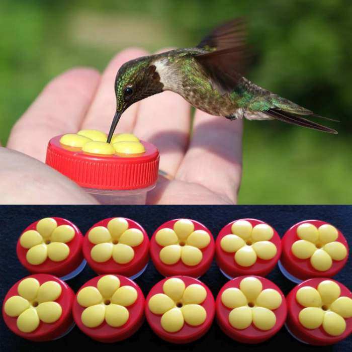 Nectar Dots Hummingbird Feeder Red/Yellow 25/PAK