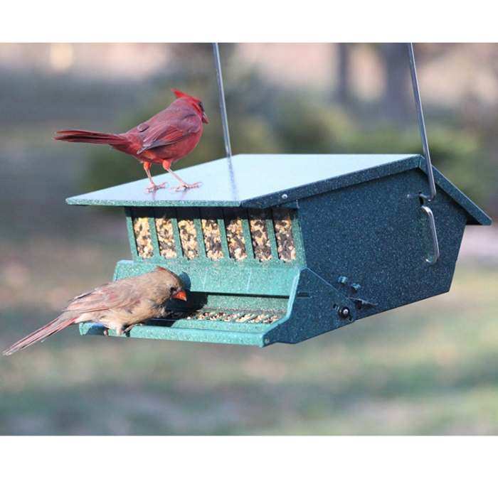 Bird Lover's Choice Squirrel-Proof Feeder Green