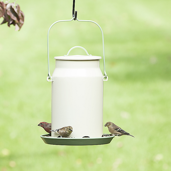 Milk Pail Bird Feeder