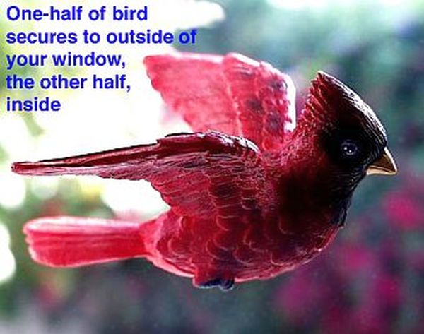 Cardinal Fly Through Window Magnet