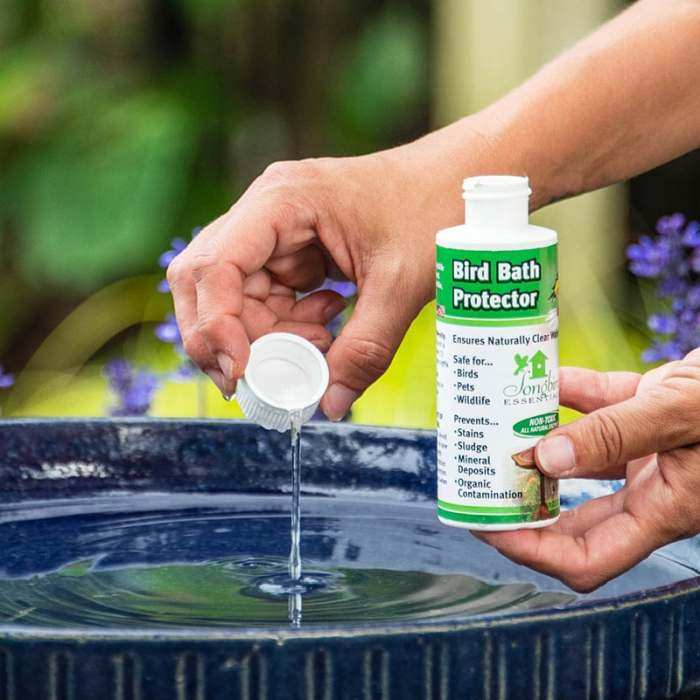 Songbird Birdbath Protector 8 oz. 2/Pack