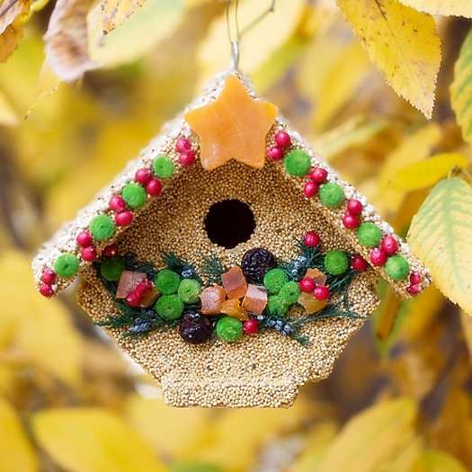 Fruit Wren Casita Edible Birdhouse