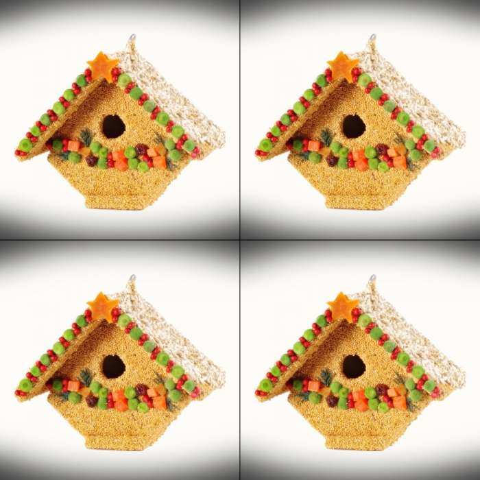 Fruit Wren Casita Edible Birdhouse 4/Pack