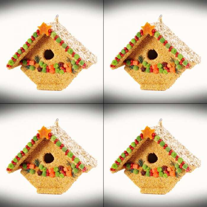 Fruit Wren Casita Edible Birdhouse 4/Pack