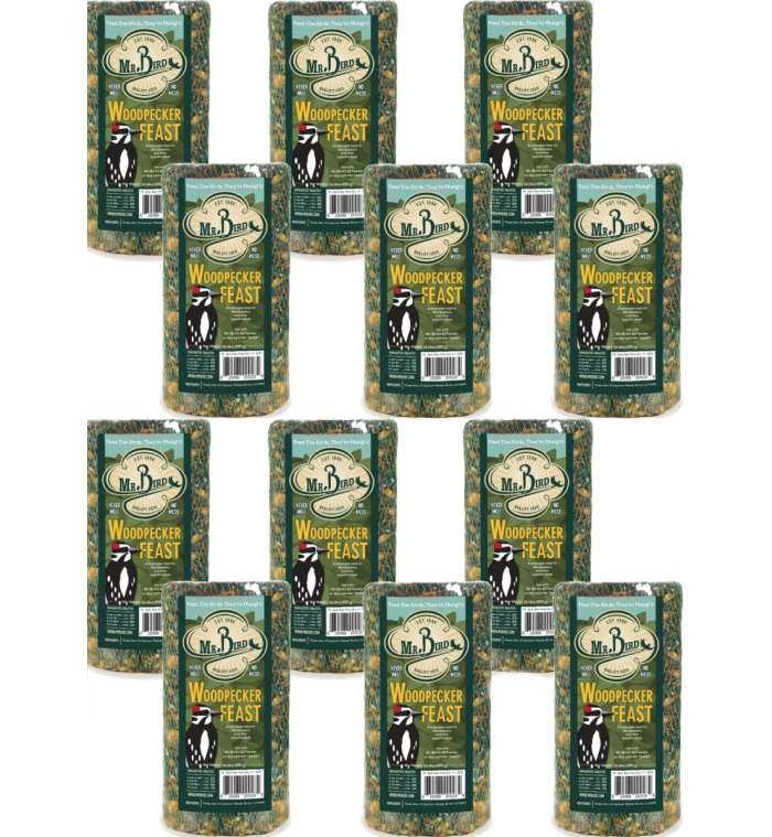 Woodpecker Feast Cylinder Small 30 oz. 12/Pack