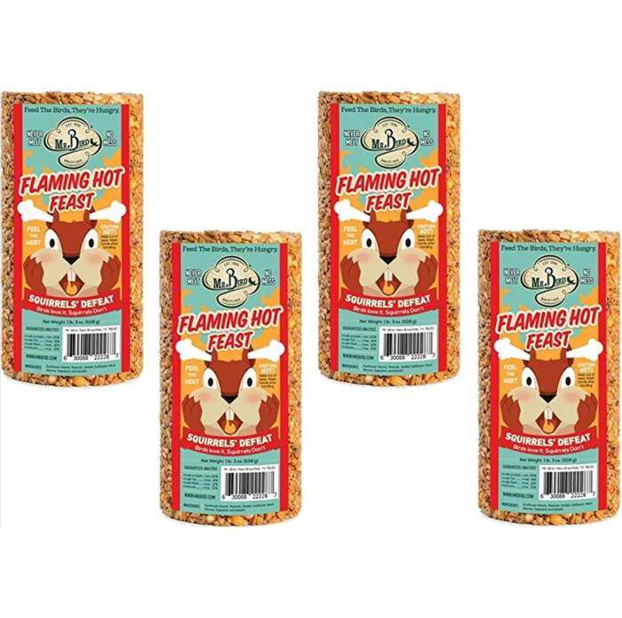 Flaming Hot Feast Cylinder Small 19 oz. 4/Pack