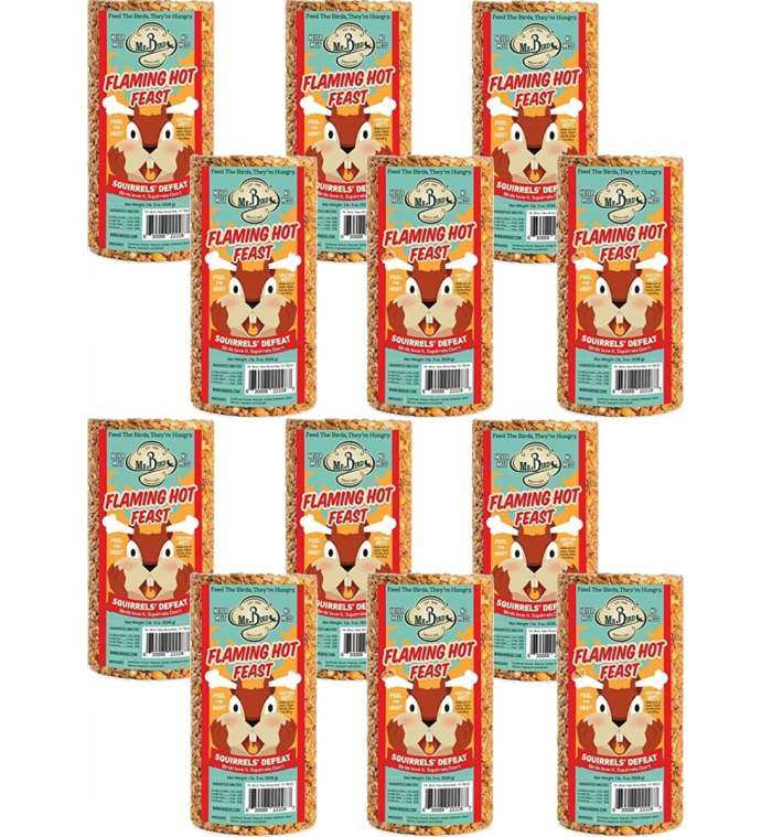 Flaming Hot Feast Cylinder Small 19 oz. 12/Pack