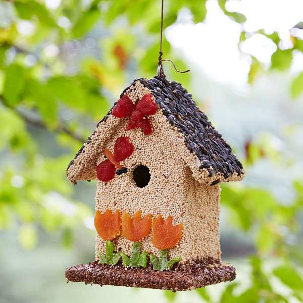Spring Fruit Bed And Breakfast Edible Birdhouse Handcrafted
