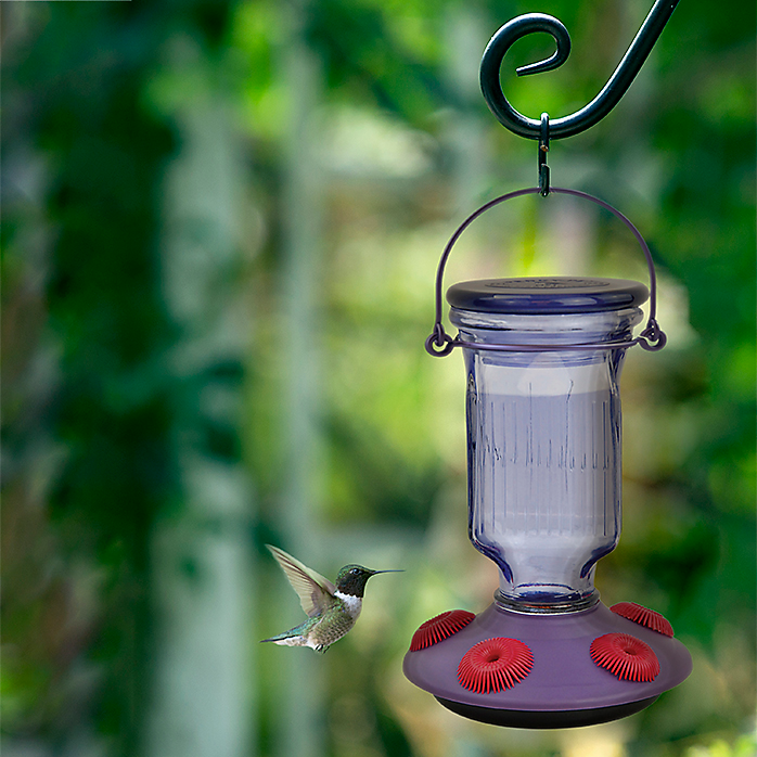 Lavender Field Top-Fill Glass Hummingbird Feeder