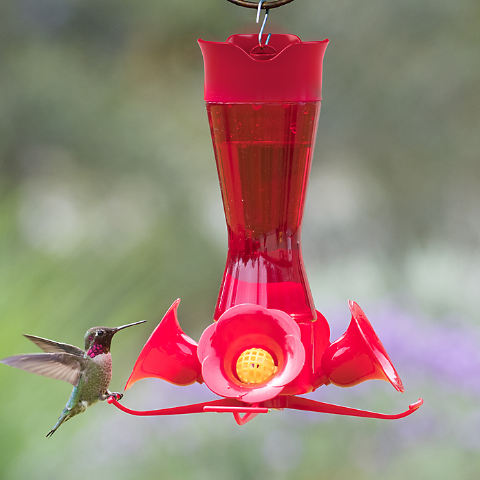 Pinch Waist Red Glass Hummingbird Feeder 8 oz.