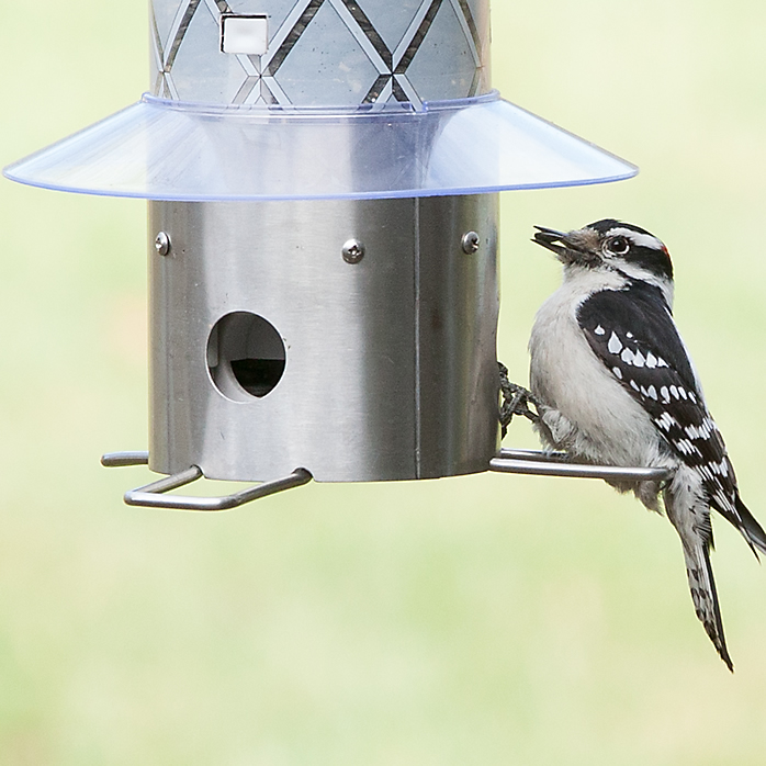 Frosted Squirrel Be Gone Bird Feeder Quality Crafted Weight