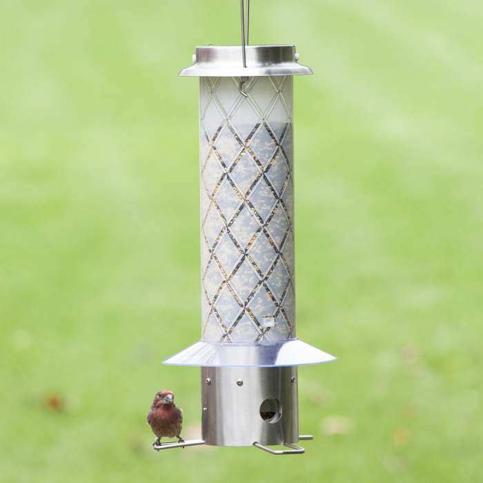 Frosted Squirrel Be Gone Bird Feeder Quality Crafted Weight