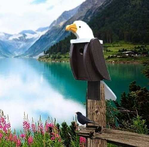 Amish Handcrafted Shaped Birdhouse Eagle