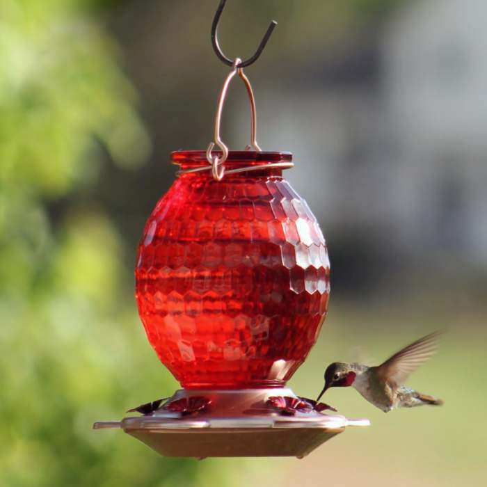 Gem Red Glass Hummingbird Feeder 22 oz.