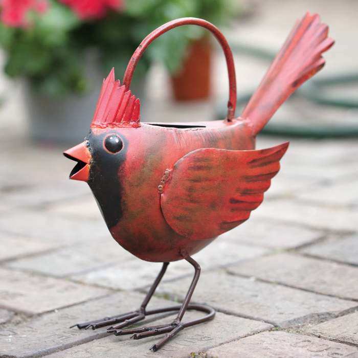 Cardinal Watering Can