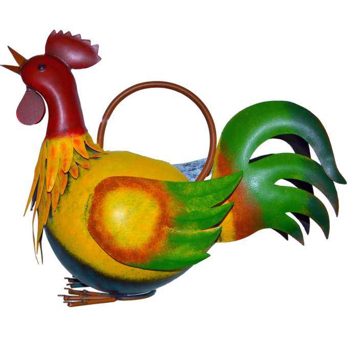 Rooster Watering Can