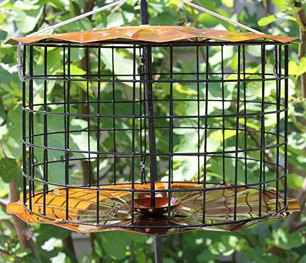 seed cylinder cage