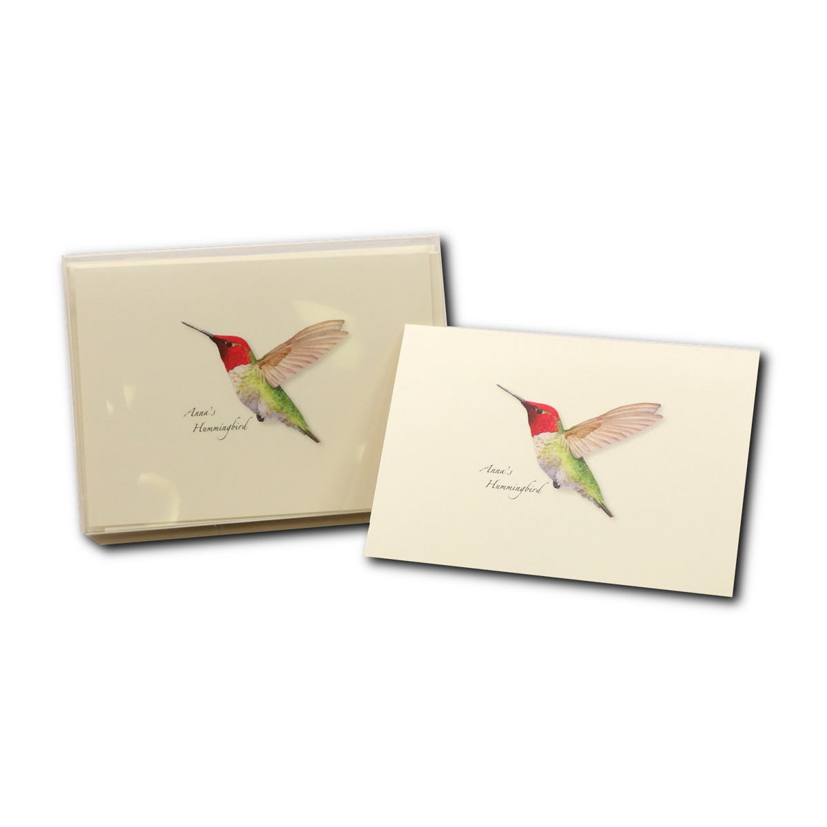 Boxed Notecard Assortment Anna's Hummingbird 8/PAK