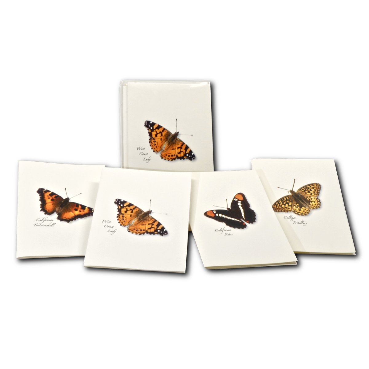 Boxed Notecard Assortment Western Butterfly I 8/PK