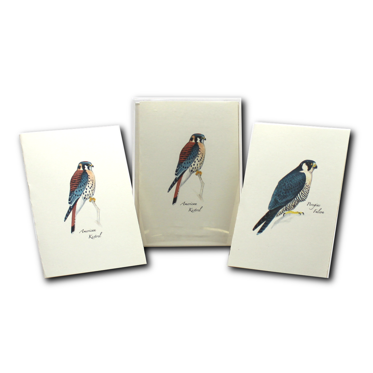 Boxed Notecard Assortment Sibley Raptor Set of 8