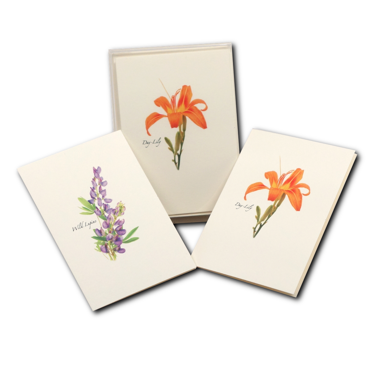 Boxed Notecard Assortment Wildflower Set of 8