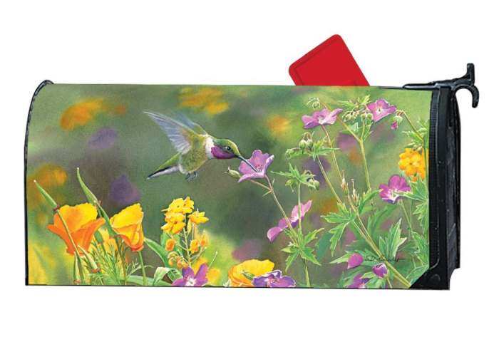 Hummingbird Hover MailWrap