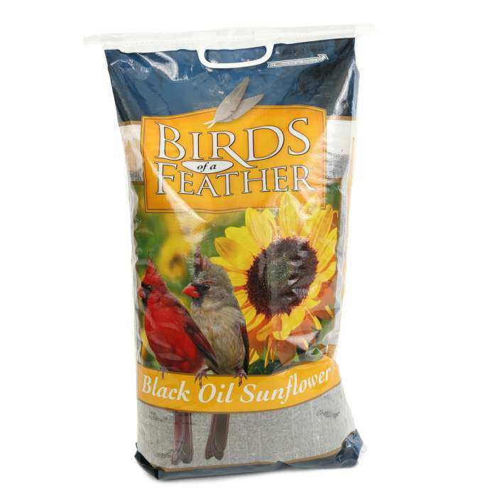 Birds of a Feather Black Oil Sunflower Seed 20#